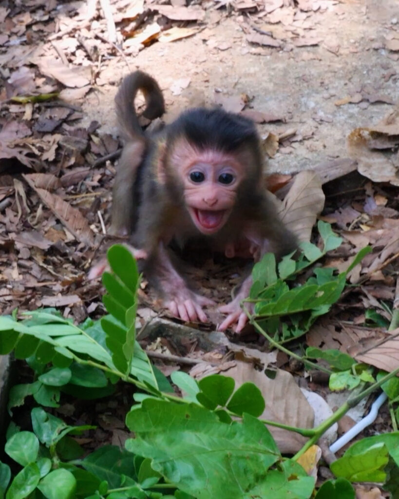 Freedom at Risk: Bean Frees Eleano, But Cherry Won't Let Her Go